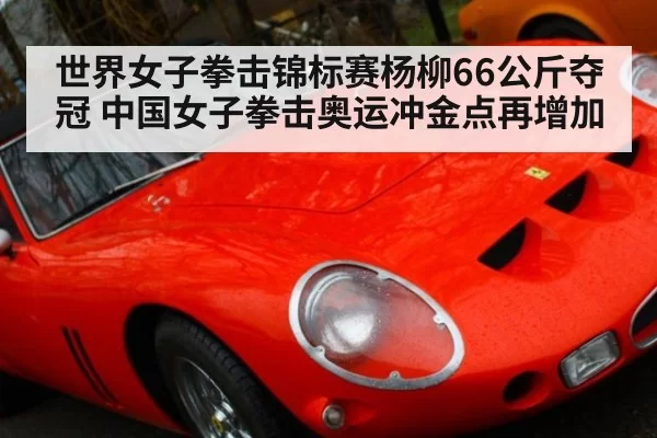 世界女子拳击锦标赛杨柳66公斤夺冠 中国女子拳击奥运冲金点再增加