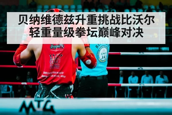 贝纳维德兹升重挑战比沃尔 轻重量级拳坛巅峰对决