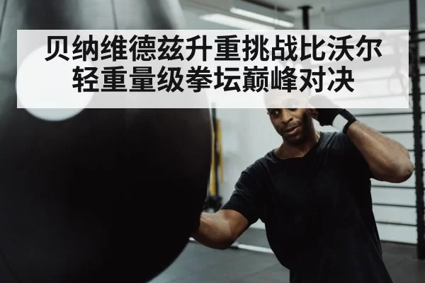 boxer punching heavy bag